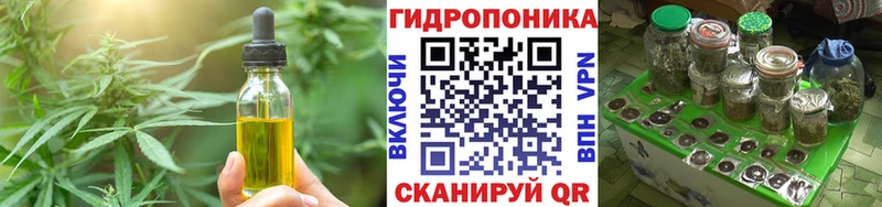 мега ссылки Котельнич Cannafood марихуана купить наркотики сайты