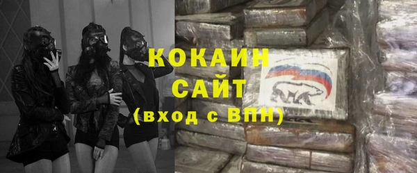 шишки Переславль-Залесский