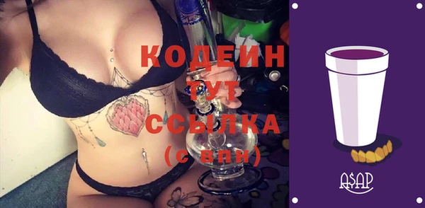 гашик Пестово
