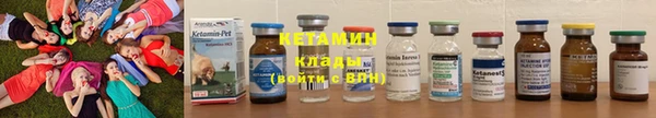 сатива Абаза