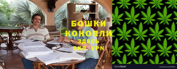 шишки Переславль-Залесский