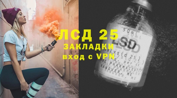 гашик Пестово