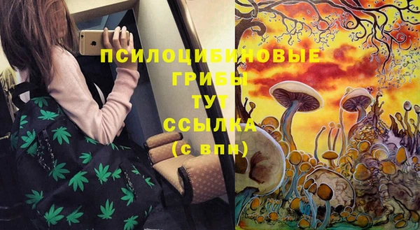 не бодяженный Алексин