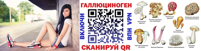 Галлюциногенные грибы Cubensis как найти закладки Котельнич
